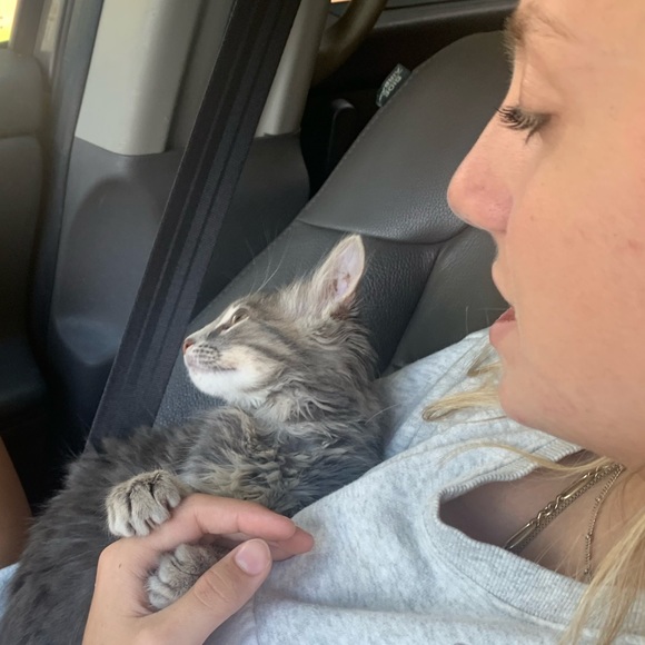 Meet your Posher, PoshPerks Christina @Freebies01 - Picture 11 of 11